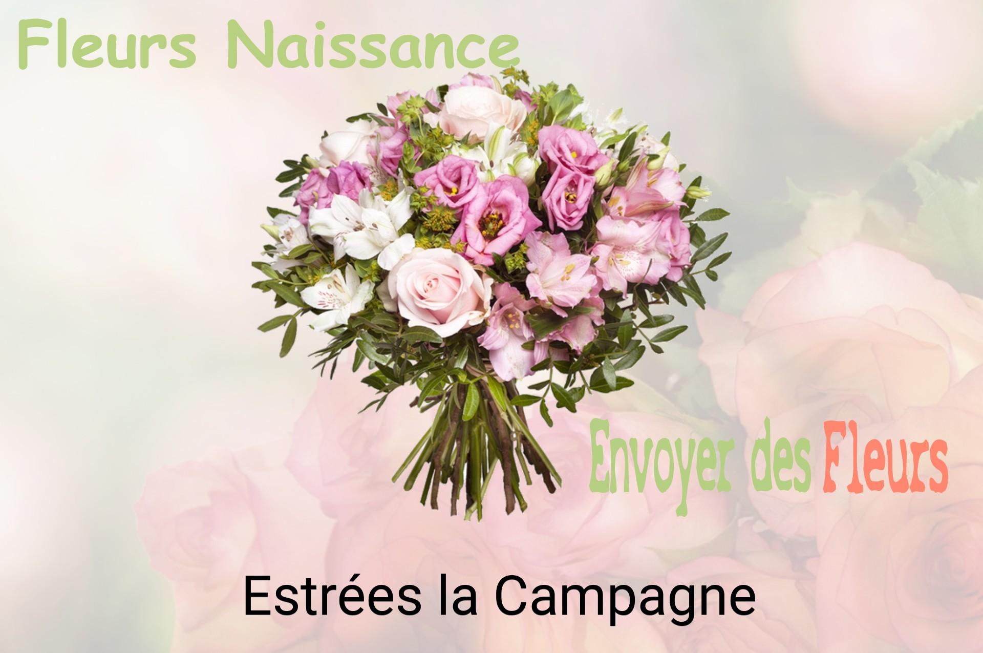 Bouquet de fleurs de naissance livré à Estrées-la-Campagne